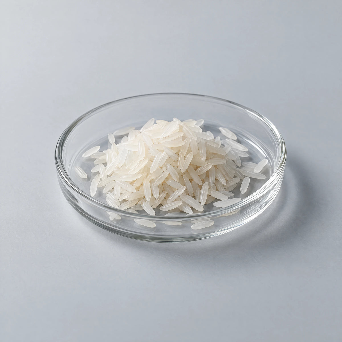 Illustrative rice protein ingredient photograph